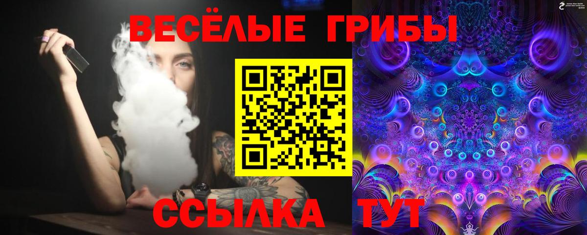 Псилоцибиновые грибы GOLDEN TEACHER Ивантеевка