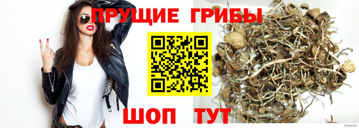 Ивантеевка  Псилоцибиновые грибы MAGIC MUSHROOMS  Вход с VPN 